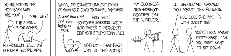 If you're not cool enough to do it manually, you can look up tools like Upside-Down-Ternet for playing games with people on your wifi.