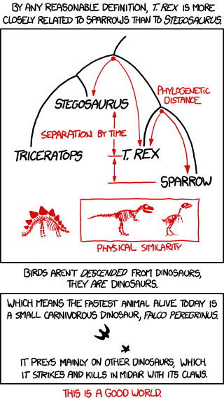 Cartoon illustrating the relationship between sparrows, T. rex, and the stegasaurus