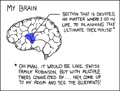 brain.png