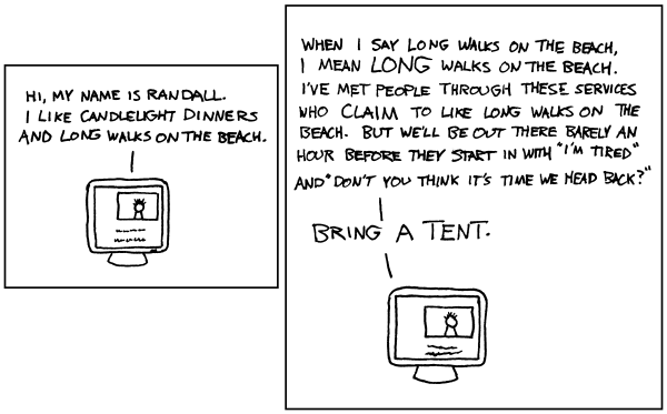 computer dating service. [[A computer monitor displays the profile of a 