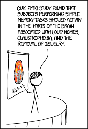 They also showed activation in the parts of the brain associated with exposure to dubious study methodology, concern about unremoved piercings, and exasperation with fMRI techs who won't stop talking about Warped Tour.