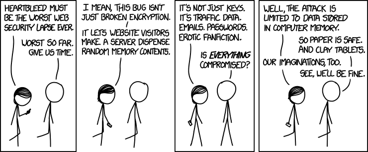 I looked at some of the data dumps from vulnerable sites, and it was ... bad. I saw emails, passwords, password hints. SSL keys and session cookies. Important servers brimming with visitor IPs. Attack ships on fire off the shoulder of Orion, c-beams glittering in the dark near the TannhÃ¤user Gate. I should probably patch OpenSSL.