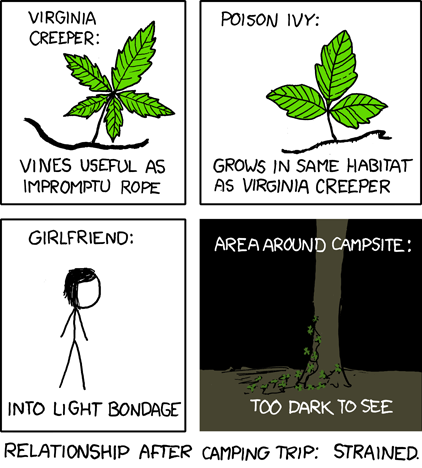 Know Your Vines