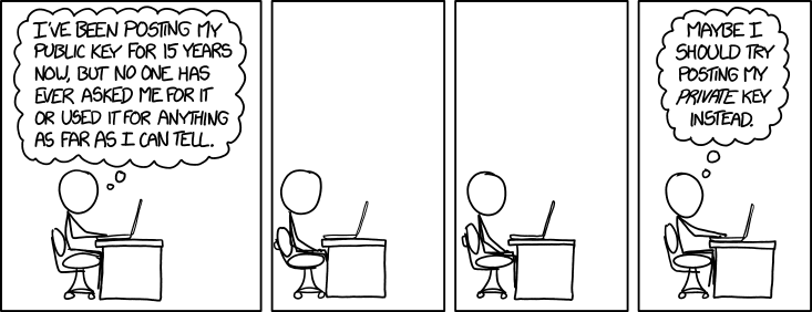 A comic with 4 panels. In each panel, a person is sitting at a computer. In panel 1, they say 'I've been posting my public key for 15 years now, but no one has ever asked me for it or used it for anything as far as I can tell.' In panels 2 and 3, the person sits quietly. In panel 4, they say 'Maybe I should try posting my private key instead.'