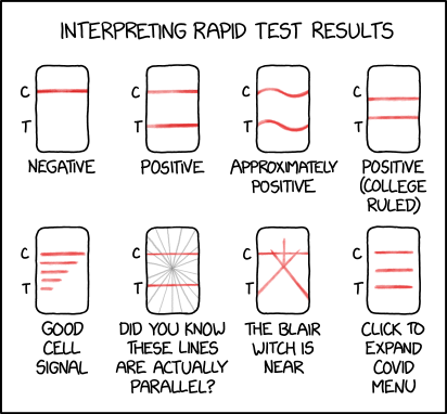 Rapid Test Results