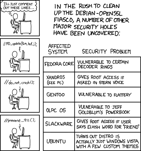 security holes comic from xkcd