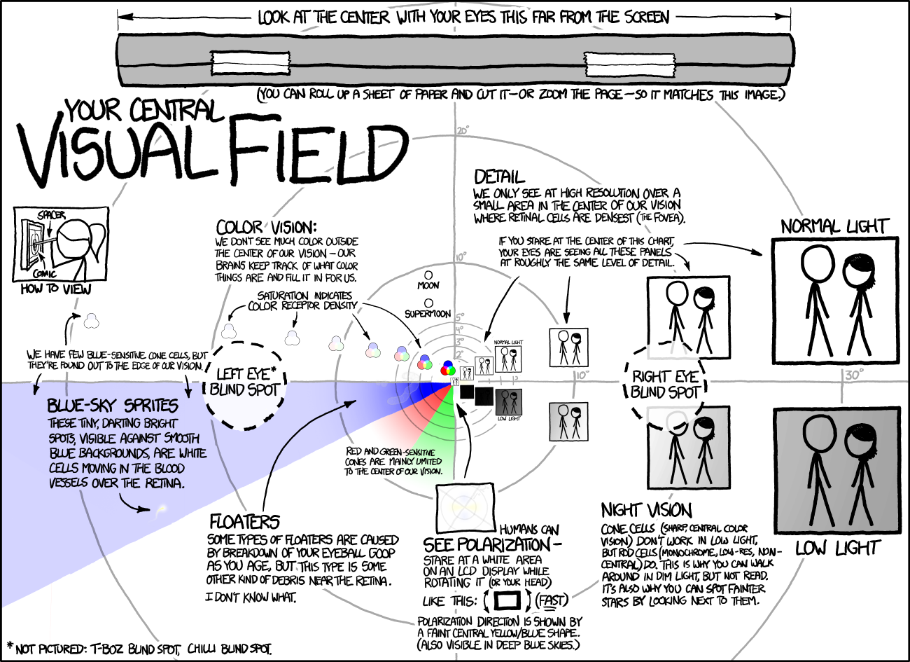 XKCD: Vision