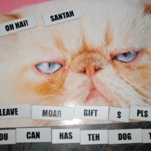 Cat and LOLmagnetz.
