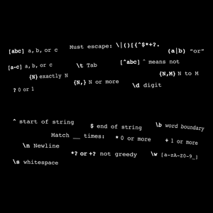 skirt text