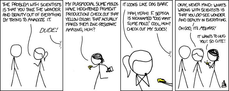 XKCD comic showing two stick figures talking: "The problem with scientists is that you take the wonder and beauty out of everything by trying to analyze it." Voice from off panel: "Dude!" Third figure running up: "My plasmoidal slime molds have heightened pigment production! Check out that yellow color! That actually makes them zinc-resistant. Amazing, huh?" "It looks like dog barf" "Hah, yeah! F. Septica is nicknamed 'dog vomit slime mold.' Cool, huh? Check out my slides!" "Okay, nevermind; what's wrong with scientists is that you do see wonder and beauty in everything. Oh God, it's moving!" "It wants to hug you! So cute!"  