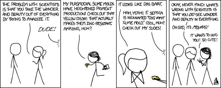 The obligatory xkcd