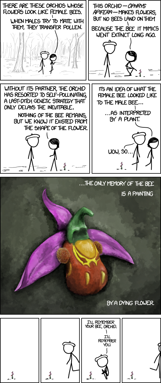 xkcd: Bee Orchid