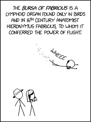 xkcd