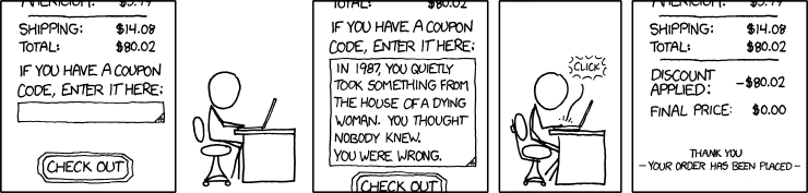 The Paddle web interface lets you create coupon codes. I hope you feel inspired by this classic comic. (Source: xkcd.com)