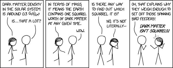 To detect dark matter, we just need to build a bird feeder that spins two squirrels around the rim in opposite directions at relativistic speeds and collides them together.