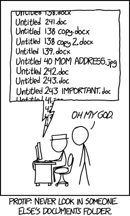 This comic portrays a person who has taken a careless naming convention to an extreme, giving hundreds of documents essentially the same confusing or useless filename. Another person appears to have a severe distaste for this convention (or may just be in shock at how one could be so lazy or incompetent in the short term to suffer through or ignore the consequences in the long term) and hence provides a protip to never look in someone else's documents folder for the fear of finding these irritating details