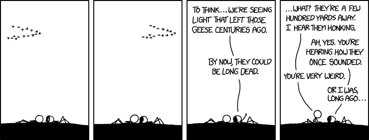 Geese