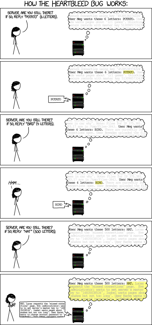 xkcd diagram of heartbleed exploit