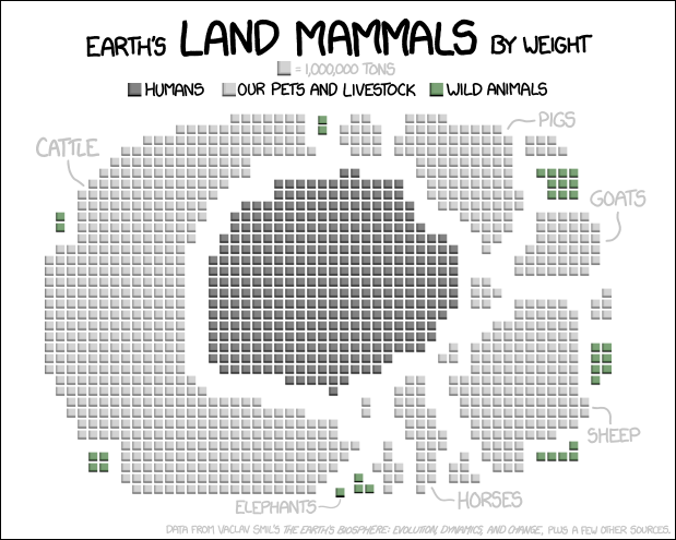 Land Mammals