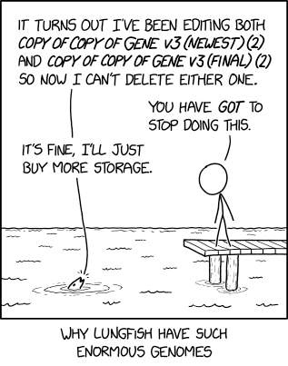 I know having so many base pairs makes rebasing complicated, but you're in Bilateria, so shouldn't you at LEAST be better at using git head?