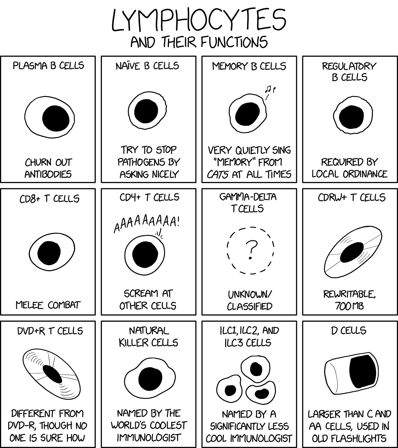 Xkcd Lymphocytes