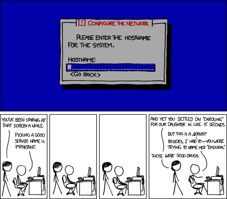 Mandatory XKCD comic about picking a hostname