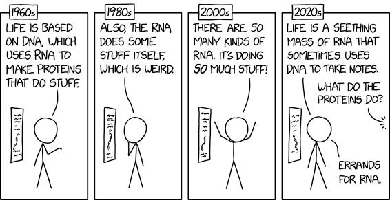 2040s: RNA formed the basis for life each of the five known times it arose on the early Earth.