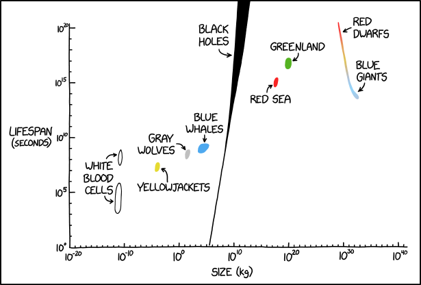 xkcd Feed