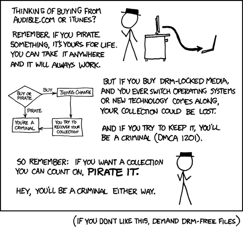 Piracy or DRM? An infographic by xkcd